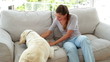 Laughing woman playing with her labrador dog on the couch