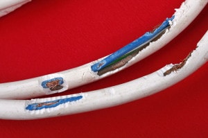 Defektes Kabel Gefahr für Welpen