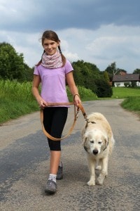 Labrador an der Leine