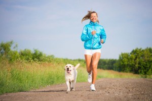 Labrador Wesen