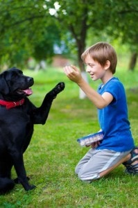 Labrador in Not - Kinder