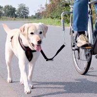 Hundeleine Fahrrad Labrador