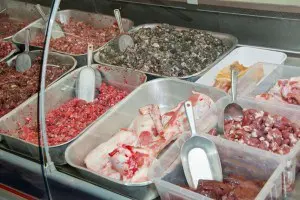 Fleisch für Labrador