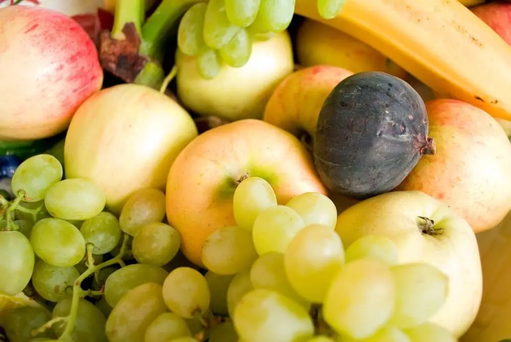 Obst für den Labrador