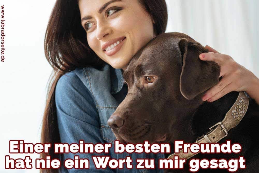 Labrador Zitate Und Sprüche