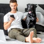 Labrador Anzeige erneuern