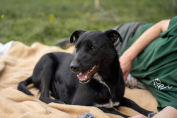 Miniaturansicht für das Anzeigenbild