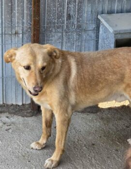 Miniaturansicht für das Anzeigenbild