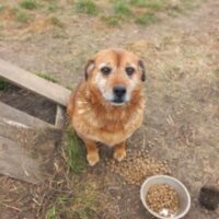 TEDI (sucht noch! Stand: 06/2025)