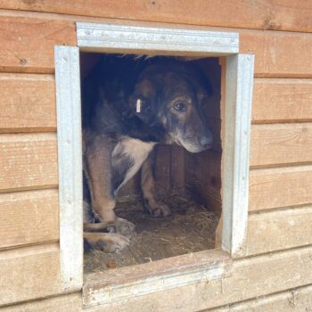 Miniaturansicht für das Anzeigenbild