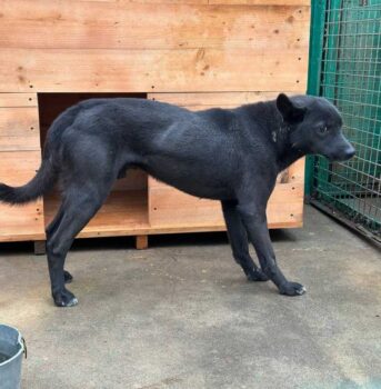 Miniaturansicht für das Anzeigenbild