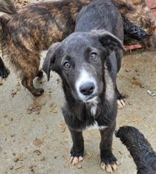 Miniaturansicht für das Anzeigenbild