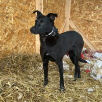 ⚠️Wunderschöne Nora⚠️mit VIDEOS!