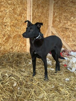 Miniaturansicht für das Anzeigenbild