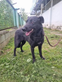 Miniaturansicht für das Anzeigenbild