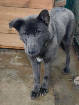 Miniaturansicht für das Anzeigenbild