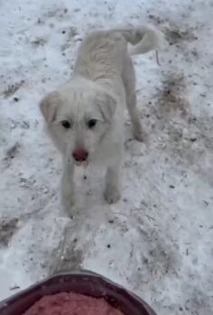 Miniaturansicht für das Anzeigenbild