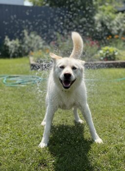 Miniaturansicht für das Anzeigenbild