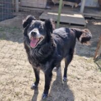 Bonbon & Madeleine - Dreamteam sucht Traumzuhause!
