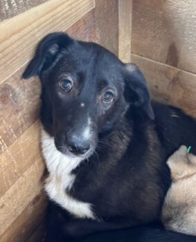 Miniaturansicht für das Anzeigenbild