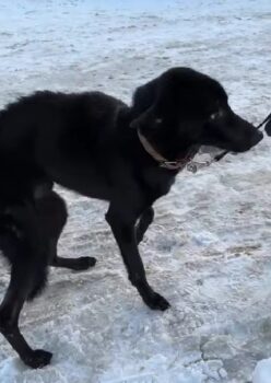 Miniaturansicht für das Anzeigenbild