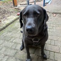 Wir suchen dringend einen VIP-Platz für unsere Lou!