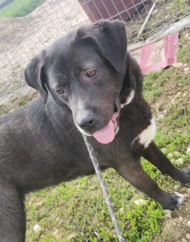 Miniaturansicht für das Anzeigenbild