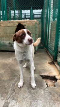 Miniaturansicht für das Anzeigenbild