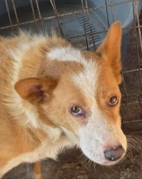 Miniaturansicht für das Anzeigenbild