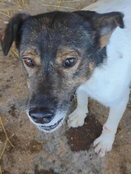 Miniaturansicht für das Anzeigenbild