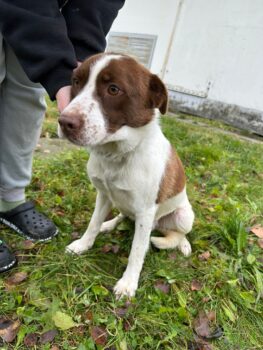 Miniaturansicht für das Anzeigenbild