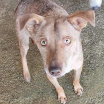 Miniaturansicht für das Anzeigenbild