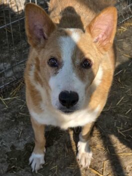 Miniaturansicht für das Anzeigenbild