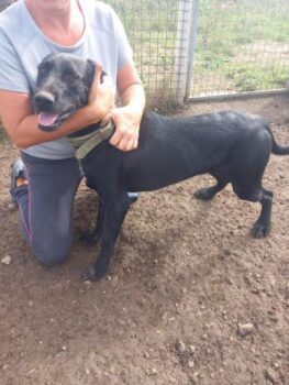 Miniaturansicht für das Anzeigenbild