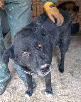 Miniaturansicht für das Anzeigenbild