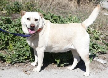 Miniaturansicht für das Anzeigenbild