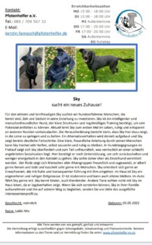 Miniaturansicht für das Anzeigenbild