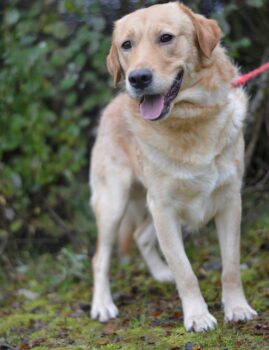 Miniaturansicht für das Anzeigenbild