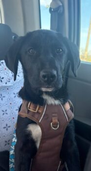 Miniaturansicht für das Anzeigenbild