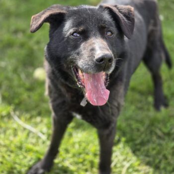 Miniaturansicht für das Anzeigenbild