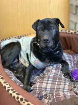 Miniaturansicht für das Anzeigenbild