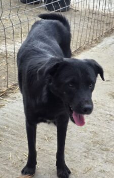 Miniaturansicht für das Anzeigenbild