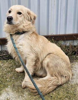 Miniaturansicht für das Anzeigenbild