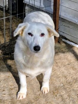 Miniaturansicht für das Anzeigenbild