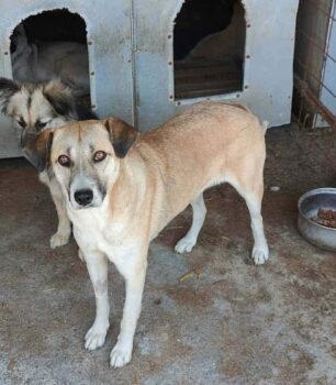 Miniaturansicht für das Anzeigenbild