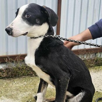 Miniaturansicht für das Anzeigenbild