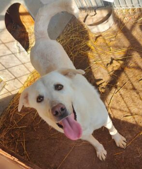 Miniaturansicht für das Anzeigenbild