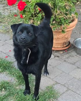 Miniaturansicht für das Anzeigenbild