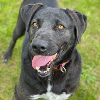 Miniaturansicht für das Anzeigenbild