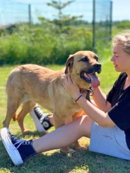 Miniaturansicht für das Anzeigenbild